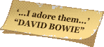 bowie adores Fumble